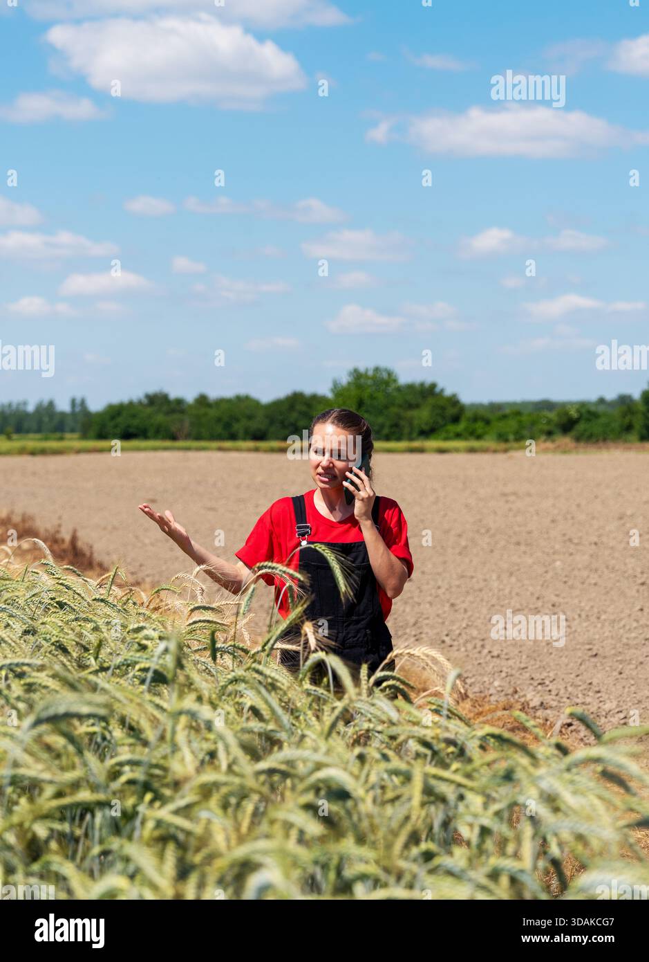 Farmerin mit Smartphone auf landwirtschaftlichem Feld an sonnigen Sommertagen Stockfoto