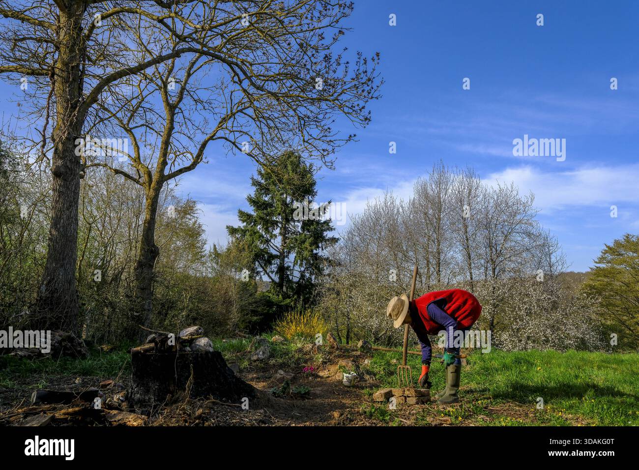 Frau im Garten in Le Mesnil en Ouche, Eure, Frankreich Stockfoto
