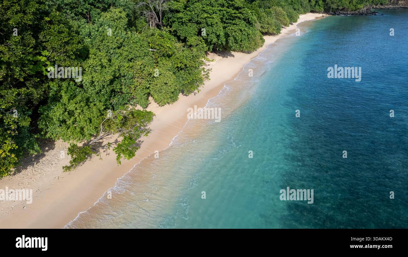 Atemberaubender Blick aus der Vogelperspektive auf einen unberührten Sandstrand, der auf das klare, lebhafte türkisfarbene und tiefblaue Meer trifft. Stockfoto
