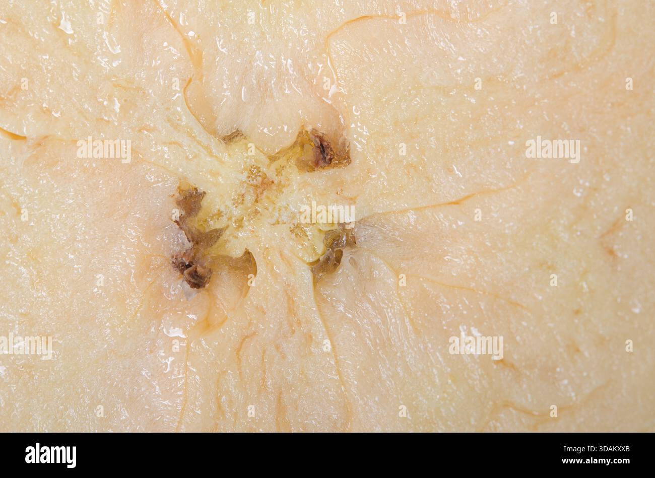 Nahaufnahme einer in Scheiben geschnittenen Banane, die ihr weiches, cremiges Inneres und ihren zentralen Kern zeigt. Stockfoto