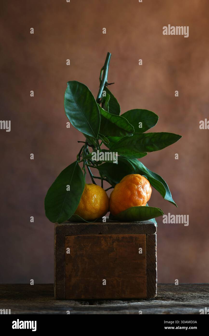 Mandarin Orange Stillleben. Ein Zweig mit zwei Mandarinorangen auf einer Holzkiste vor einem braun melierten Hintergrund. Stockfoto