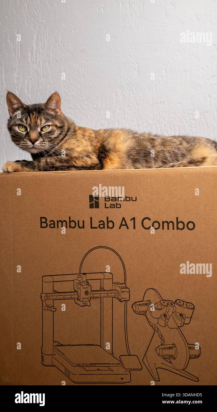 Jurmala, Lettland - 11.12.2025: Nahaufnahme mit neuem 3D-Drucker Bambu Lab A1 Combo mit AMS. Die Katze liegt auf einem Karton eines 3D-Druckers in einem Raum Stockfoto