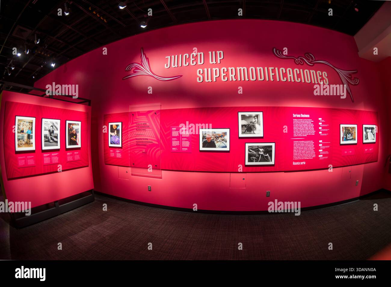 Smithsonian American History Museum Lowrider Culture Exhibit Washington DC // WASHINGTON DC — die Juiced Up Supermodificaciones Exhibit, Teil der Lowrider Culture Exhibit, ist im Smithsonian National Museum of American History ausgestellt. Diese Ausstellung erkundet die Automobil- und künstlerische Subkultur des Tieffahrens und zeigt kundenspezifische Autos, Hydraulik und komplizierte Handwerkskunst. Mit Fotografien und Interpretationstafeln unterstreicht es die kulturelle Bedeutung von Baumeistern mit Tieffahrern. Das Museum in der National Mall bewahrt und interpretiert das amerikanische Erlebnis. Stockfoto