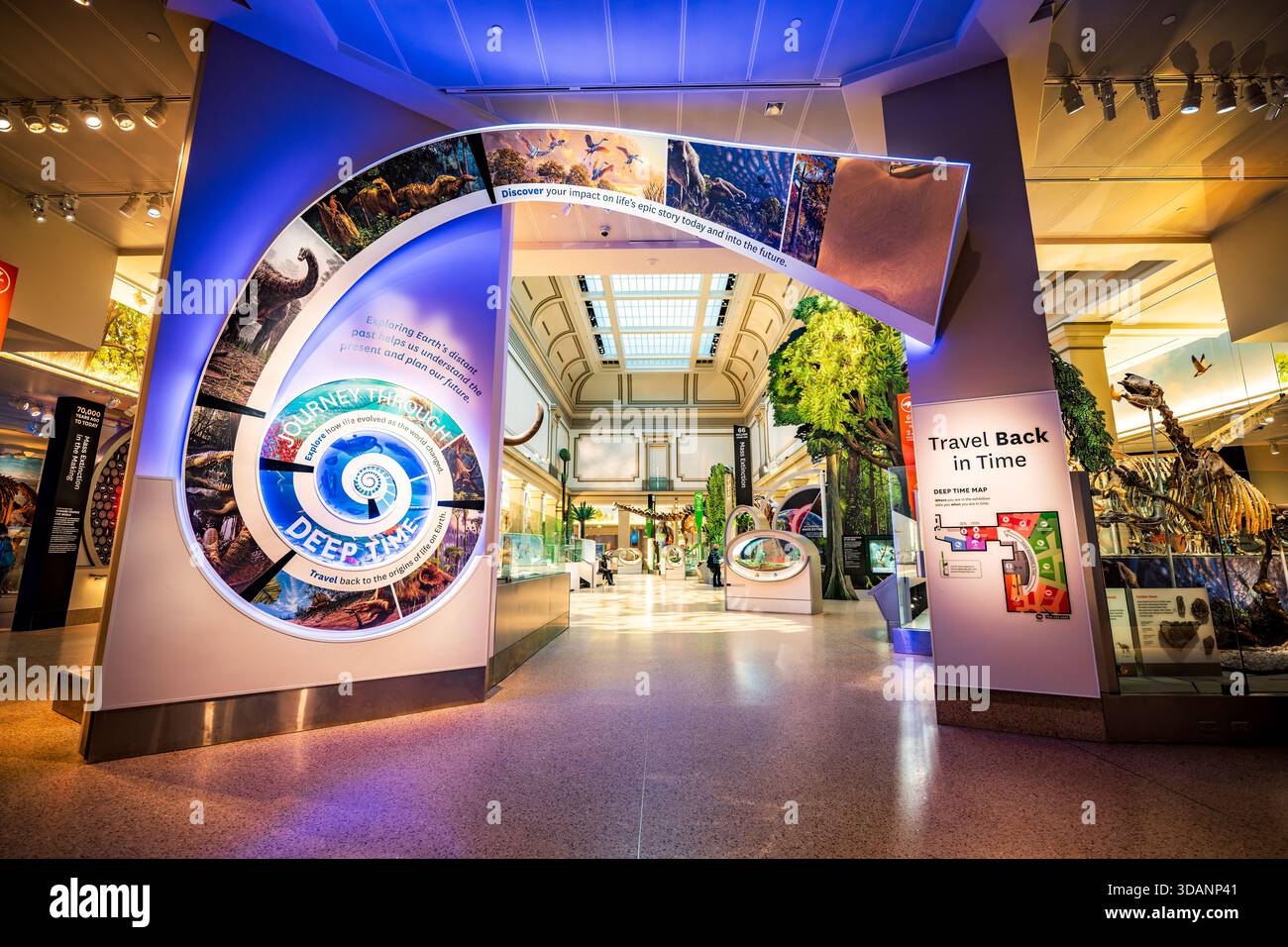 Smithsonian Natural History Museum David H Koch Hall of Fossils Washington DC // WASHINGTON DC — die David H. Koch Hall of Fossils - Deep Time Ausstellung im Smithsonian National Museum of Natural History untersucht 4,6 Milliarden Jahre Erdgeschichte. Diese große Ausstellung zeigt die Evolution des Lebens und der Ökosysteme und zeigt über 700 fossile Exemplare, darunter Dinosaurierskelette. Die 31.000 2.880 Quadratmeter große Halle ist eine zentrale Attraktion innerhalb des berühmten Museums der Smithsonian Institution. Stockfoto