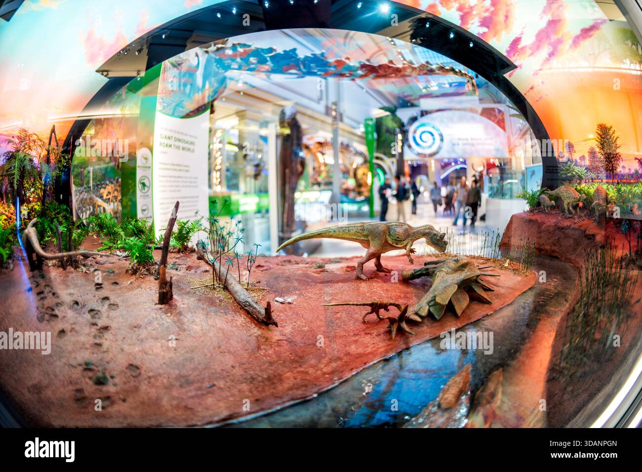 Smithsonian Natural History Museum David H Koch Hall of Fossils Washington DC // WASHINGTON DC – Ein Diorama, das prähistorisches Leben, einschließlich Dinosauriermodelle und antike Flora, darstellt, ist in der David H. Koch Hall of Fossils - Deep Time im Smithsonian National Museum of Natural History zu sehen. Diese große Ausstellung beschäftigt sich mit 4,6 Milliarden Jahren Erdgeschichte und der Evolution des Lebens, von alten Organismen bis hin zu Dinosauriern und frühen Menschen. Die Halle, die 2019 nach einer fünfjährigen Renovierung wieder eröffnet wurde, ist eine zentrale Attraktion des Museums. Es konzentriert sich auf die Verflechtungen des Lebens und Stockfoto