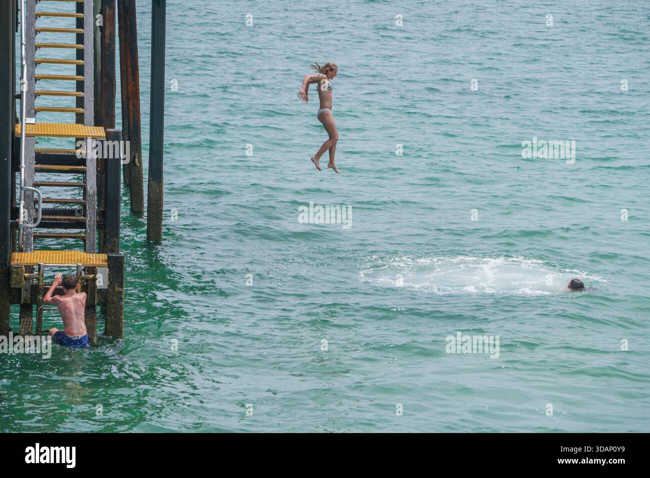 11. Dezember 2025 Ein Schwimmer taucht an einem heißen Sommertag von einem Pier in Adelaide Credit Amer Ghazzal/Alamy Live News Stockfoto