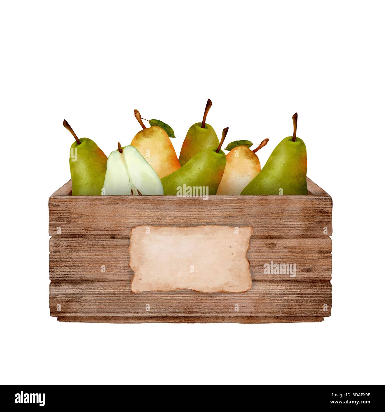 Rustikale Frucht-Ausstellung, handbemalte Aquarellbirnen in Holzkiste evozieren rustikale Frische, sanft gefärbte Aquarellbirnen in Holzkiste zeigen saisonalen Bauernstand Appeal Hand gezeichnetes Aquarellclipart. Stockfoto