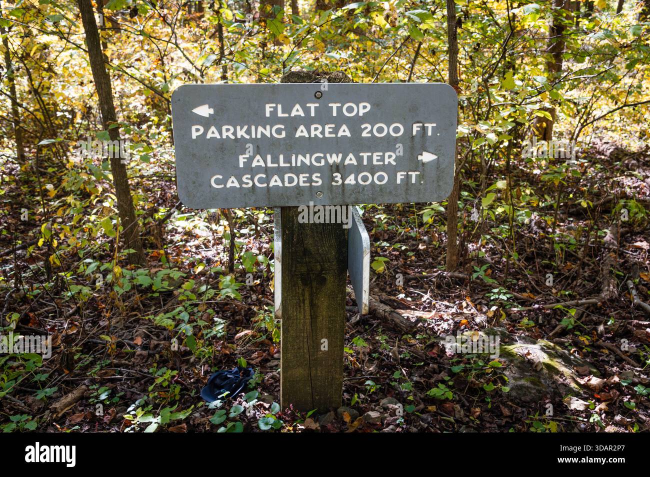 Wegschild für Flat Top Mountain und Fallingwater Cascades Trails Stockfoto