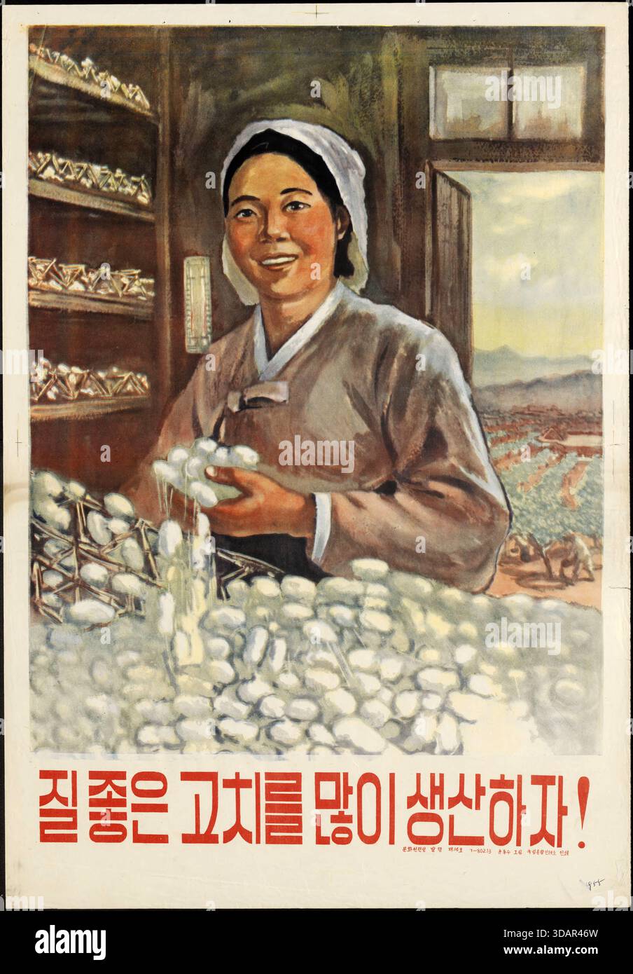 Ein altes nordkoreanisches Propagandaplakat. Es zeigt eine Frau, die mit Wattebäuschen arbeitet. Der Spruagn lautet: Lasst uns Eine Menge High Quaity Cotton produzieren Stockfoto
