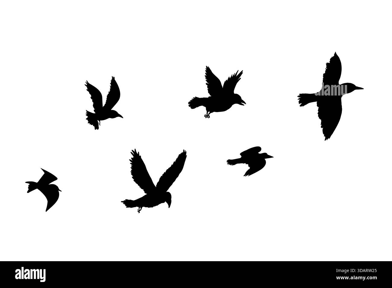 Fliegende Vogelschwärme Silhouette, einfache Schwalben im Flug, Krähen am Himmel. Gruppe von Vögeln Grenze. Vektorabbildung Stock Vektor