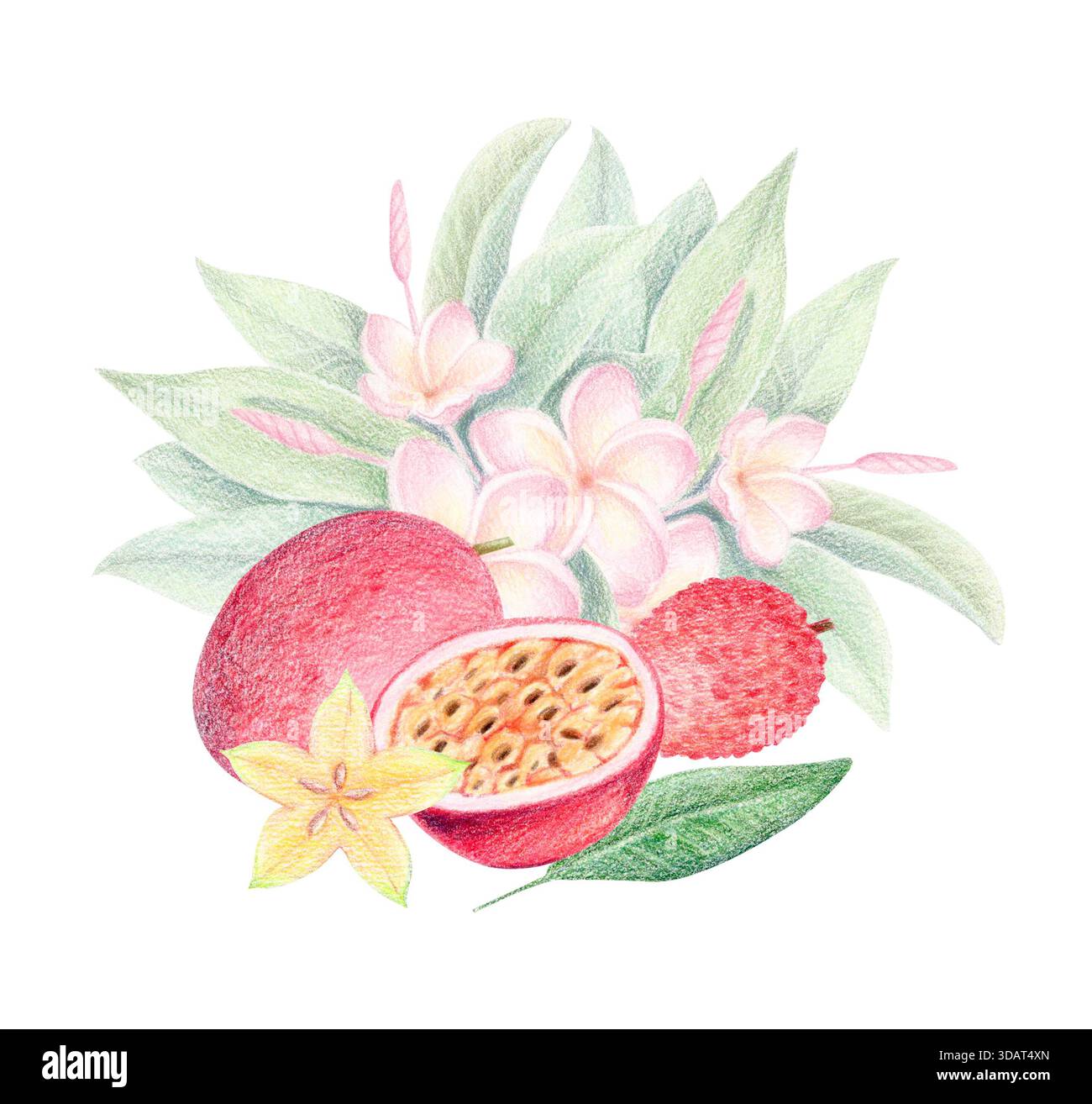 Passionsfrucht, Sternfrucht, Litschi und Plumeria Sommer exotische Komposition, tropische Aquarelle isoliert botanische Illustration. Stockfoto