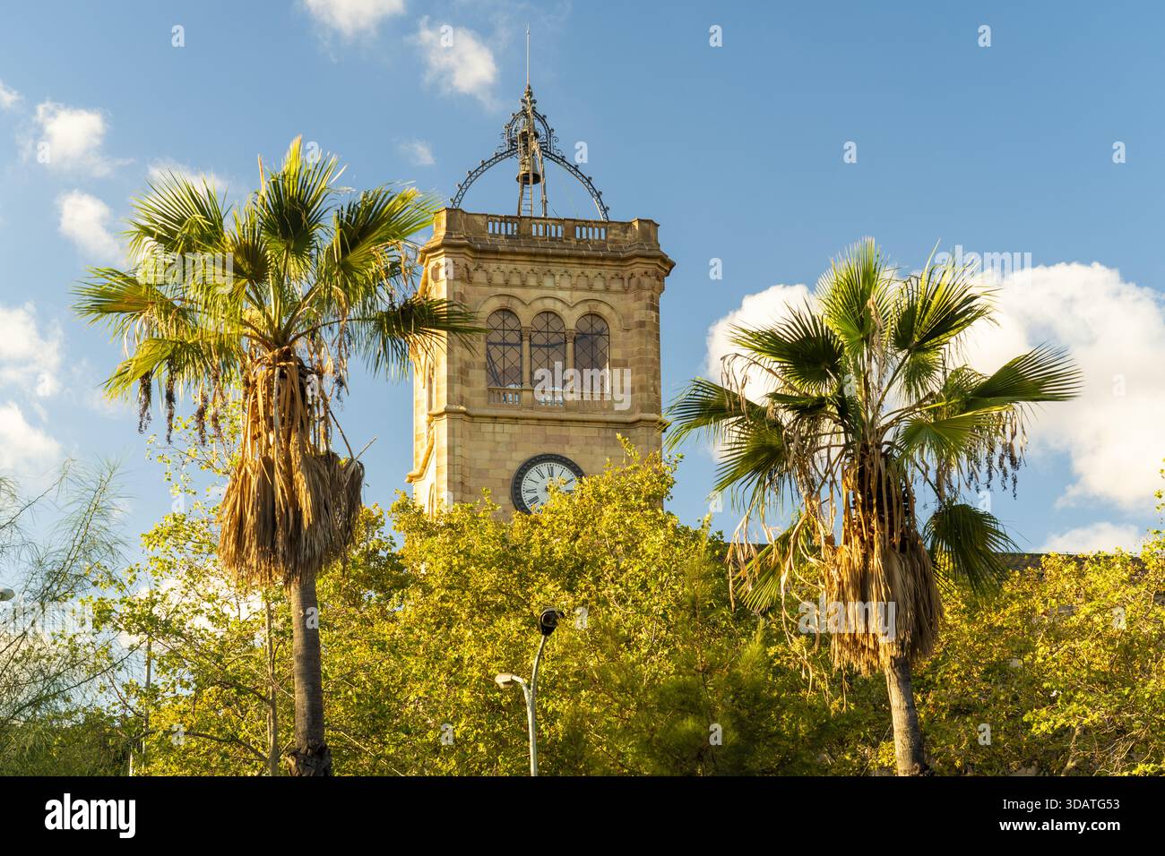 Blick auf einen alten Uhrenturm der Universität von barcelona, der hoch im grünen Laub steht, Barcelona, Katalonien, Spanien. Stockfoto