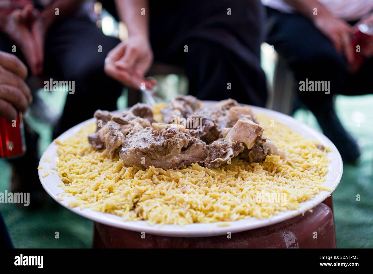 Herzhaftes arabisches Mansaf-Gericht mit Lammstücken über Reis. Ein traditionelles nahöstliches Essen. Stockfoto