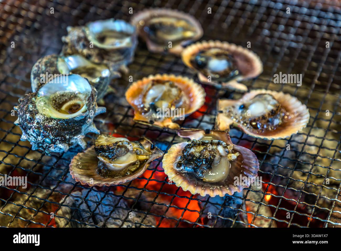 Turbanmuschel und Jakobsmuscheln brutzeln dicht beieinander auf dem offenen Holzkohlegrill der Ama Hut Experience, Shima, Präfektur Mie, Japan. Traditionell bereiteten die Ama-Taucherinnen auch ihr eigenes Mittagessen aus frisch gefangenen Meeresfrüchten zu. Stockfoto