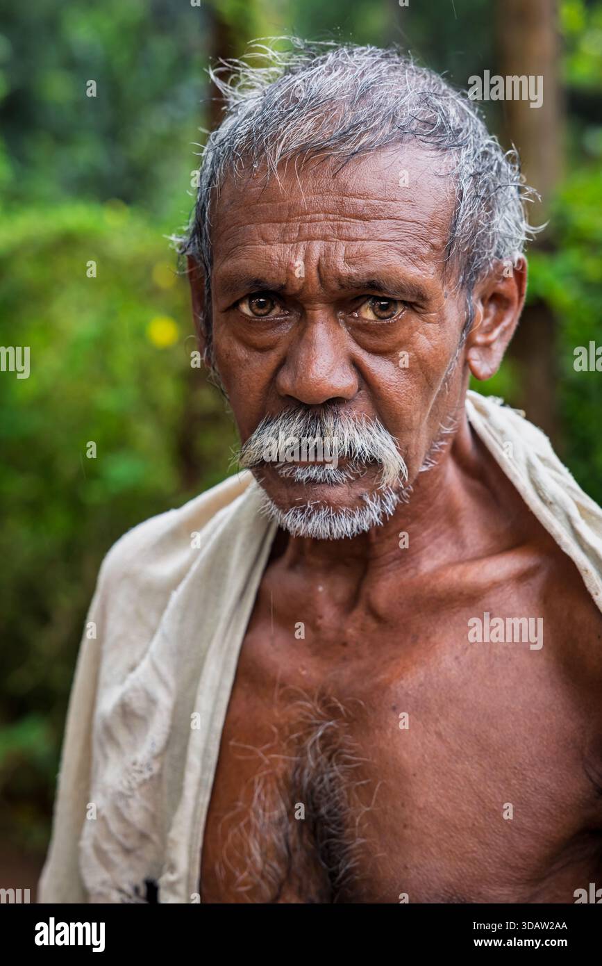 Der ältere indische Bauer, Odisha, Indien Stockfoto