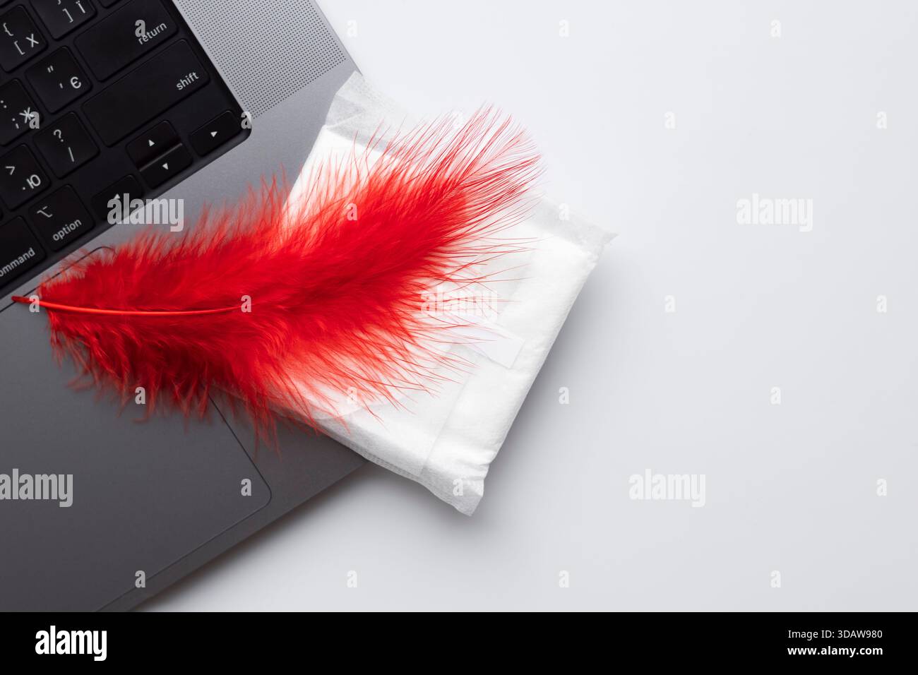 Ein symbolisches Bild einer roten Feder auf einer Sanitärmatte, die auf einem Laptop platziert ist. Diese visuelle Darstellung betont die Menstruation im Kontext der Moderne Stockfoto