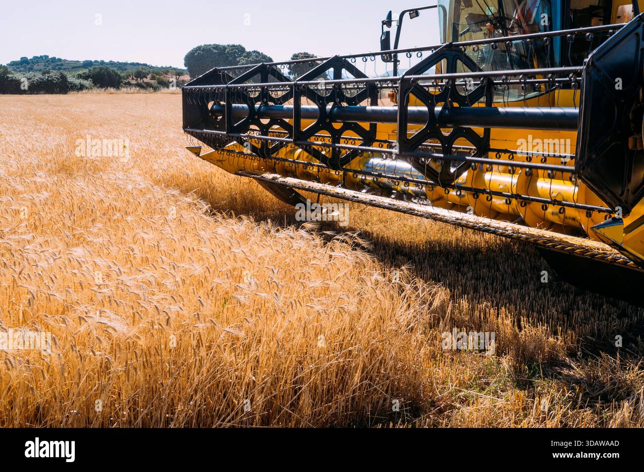 Ein moderner Mähdrescher, der auf einem goldenen Gerstenfeld in Guadalajara, Spanien, arbeitet und die Effizienz und Technologie der modernen Landwirtschaft veranschaulicht Stockfoto