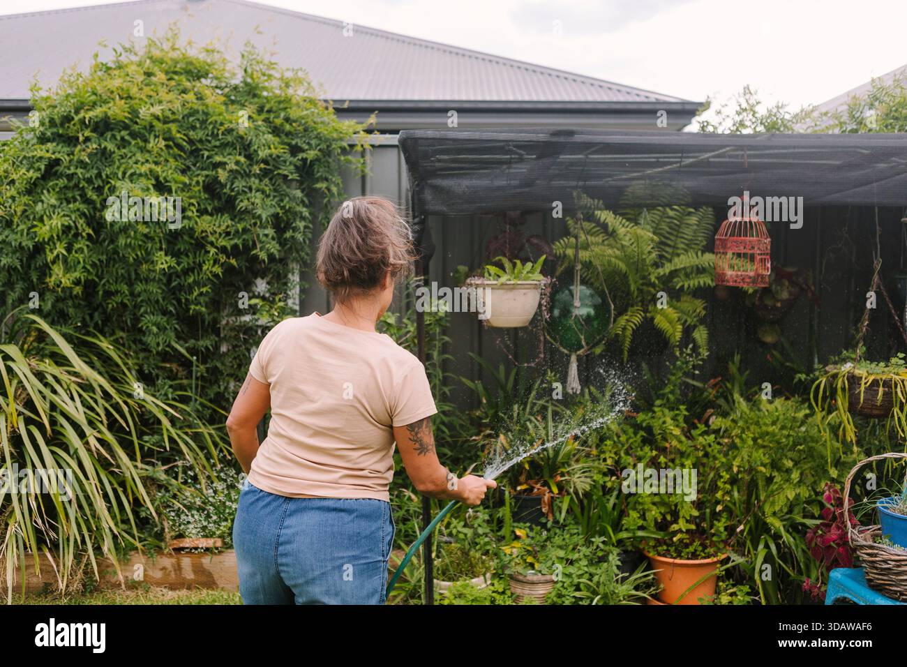 Eine Frau pflegt in Australien mit einem Schlauch ihren üppigen Garten, umgeben von lebendigem Laub und blühenden Blumen, die einen nachhaltigen Garten verkörpern Stockfoto