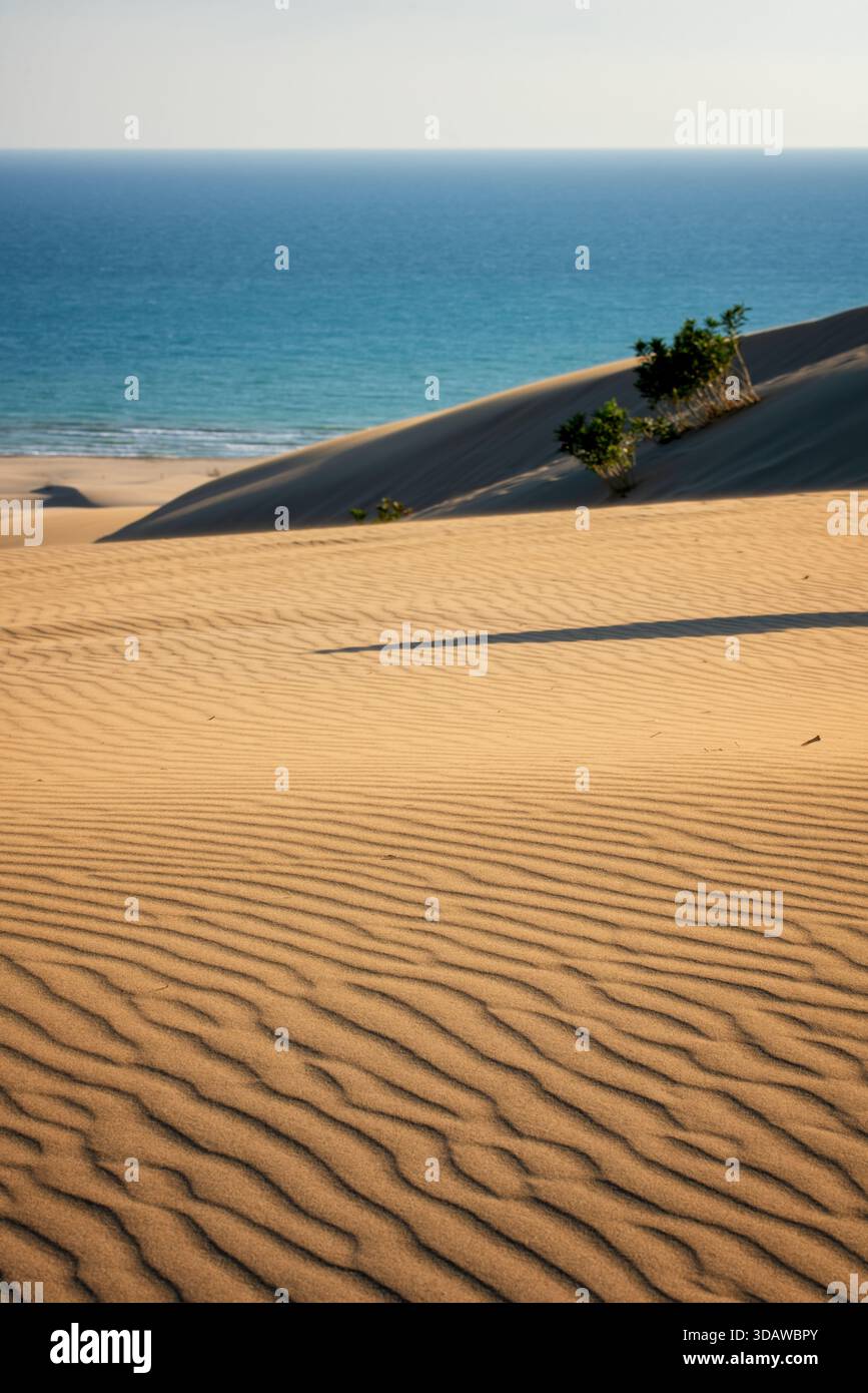 Goldene Sanddünen erstrecken sich entlang des Patara Beach, umgeben von leuchtenden blauen Wellen des Ozeans. Die sanften Kurven und Schatten im Sand schaffen eine ruhige und ruhige atmosphäre Stockfoto