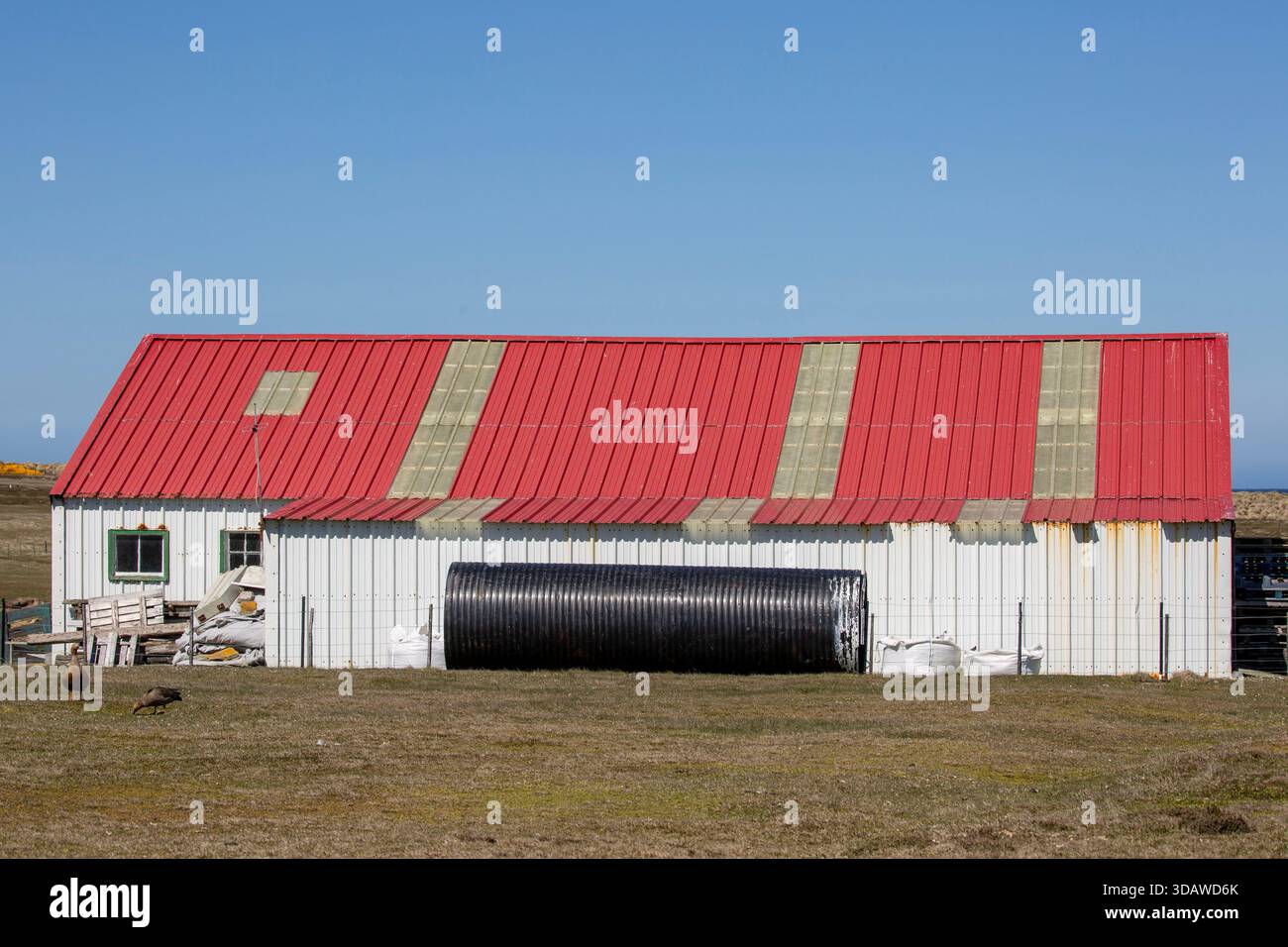 Bleaker Island Siedlung, Bleaker Island, Falklandinseln Stockfoto