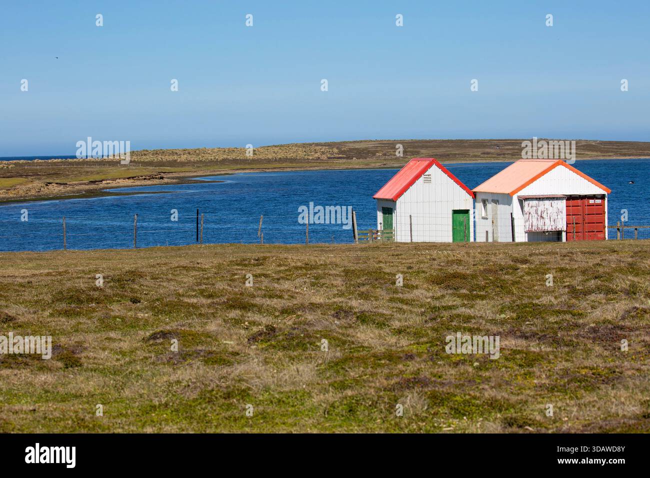 Bleaker Island Siedlung, Bleaker Island, Falklandinseln Stockfoto