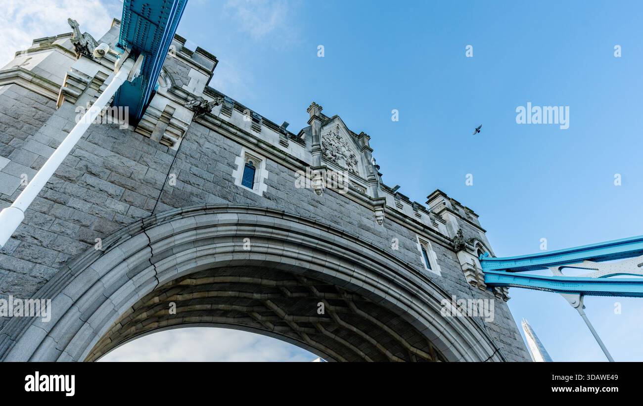 Eine Nahaufnahme des beeindruckenden Steinbogens der Tower Bridge vor einem klaren blauen Himmel in London. Eine Möwe schwingt über die Brücke, mit einem Teil der legendären Brücke Stockfoto