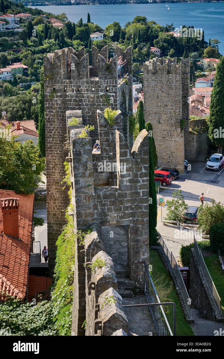 Stadtmauer mit Verteidigungsturm von Piran, Slowenien, Europa Stockfoto