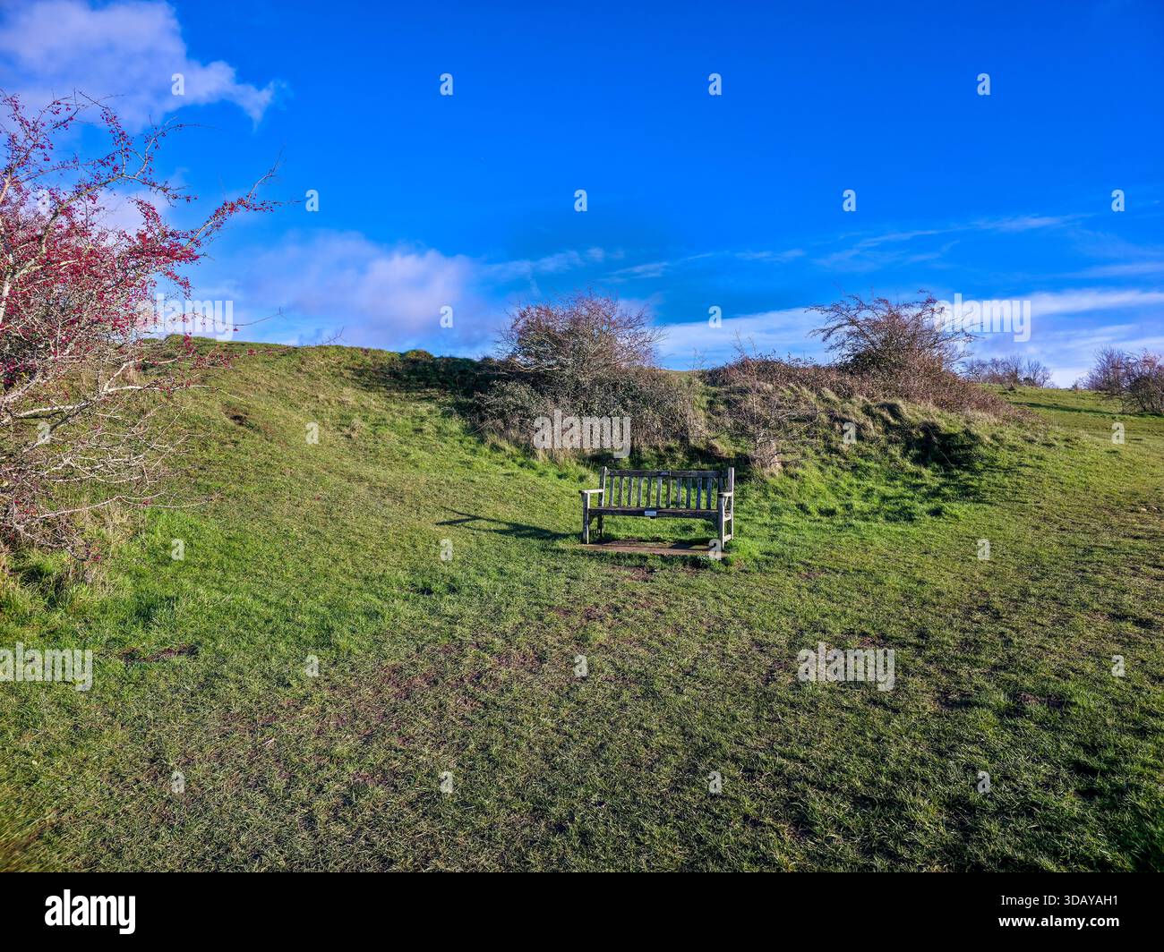 Einsame Holzbank auf grünem Hügel in ruhiger englischer Landschaft Stockfoto