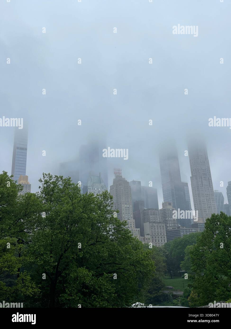 Üppig grüne Sommertage im Herzen des Central Park - Smartphone-aufgenommenes Stockfoto