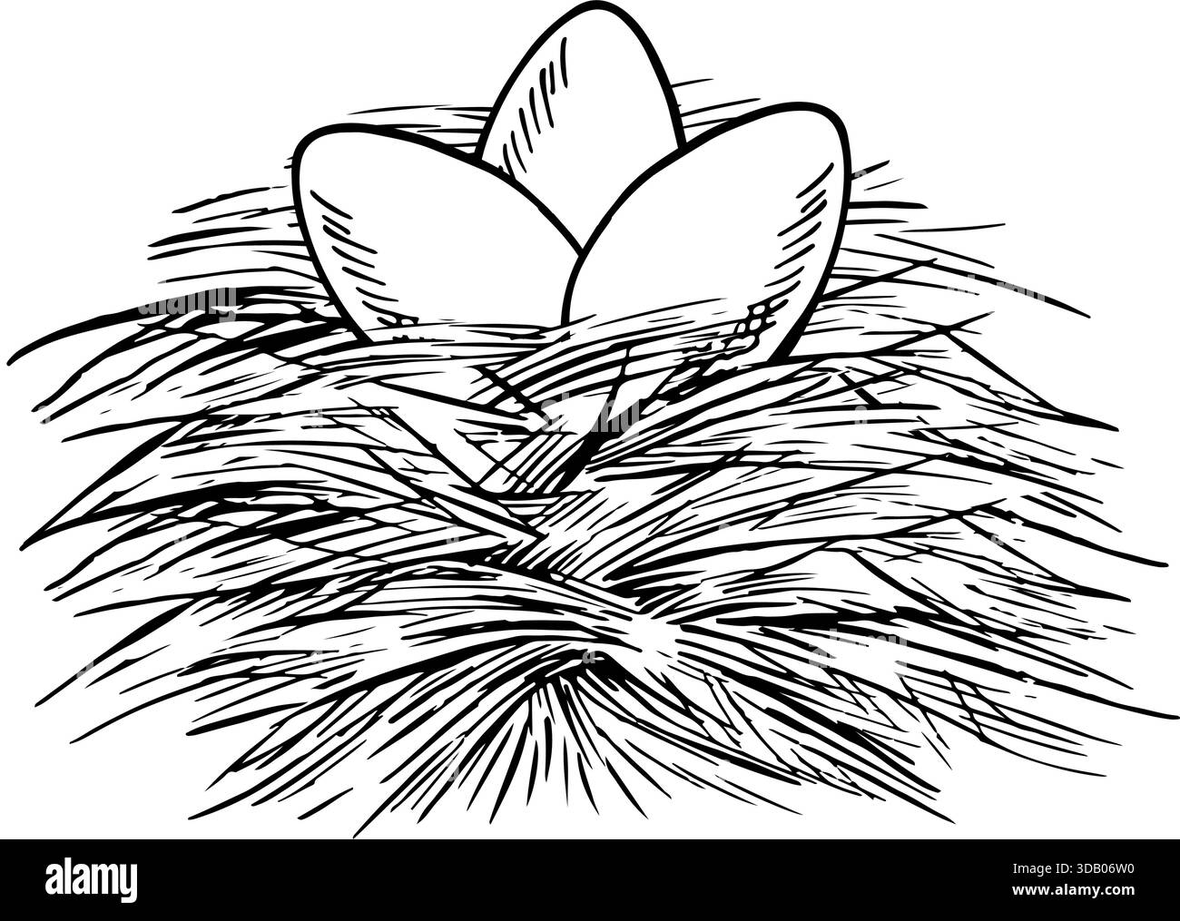 Ein Nest mit Hühnereiern. Schwarz-weiße Vektorillustration von Hand gezeichnet. Drei braune Eier in einem Strohnest. Das Konzept der Geflügelhaltung. A Stock Vektor