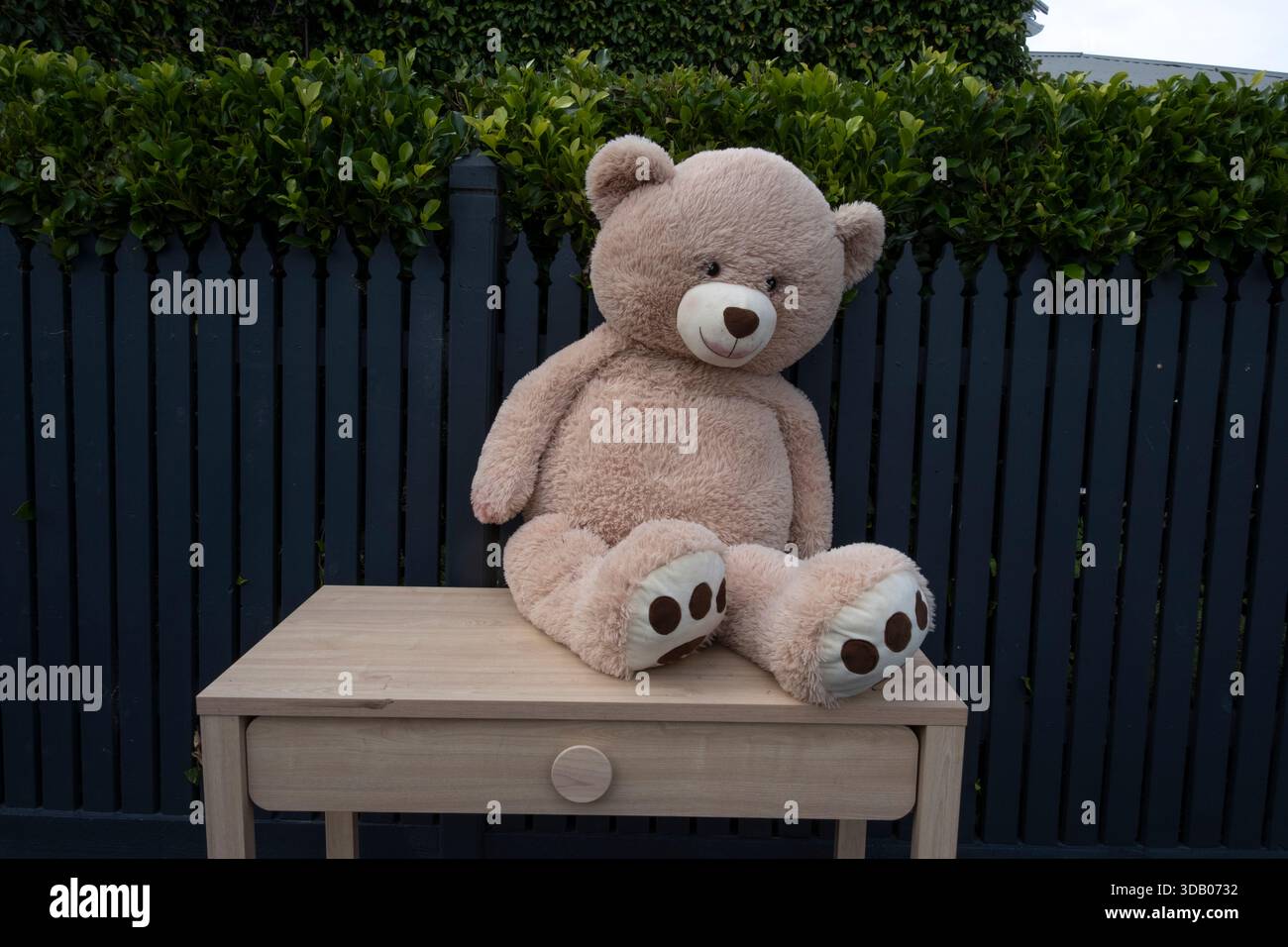 Ein verlassener Teddybär vor einem Vorstadthaus in Clifton Hill, Melbourne, Victoria, Australien. Stockfoto