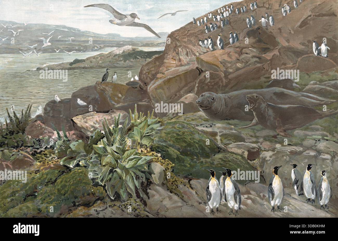 Landschaft auf dem Kerguelen-Archipel, subantarktische Inselgruppe im südlichen Indischen Ozean, Teil der Französischen Süd- und Antarktisgebiete, aut Stockfoto