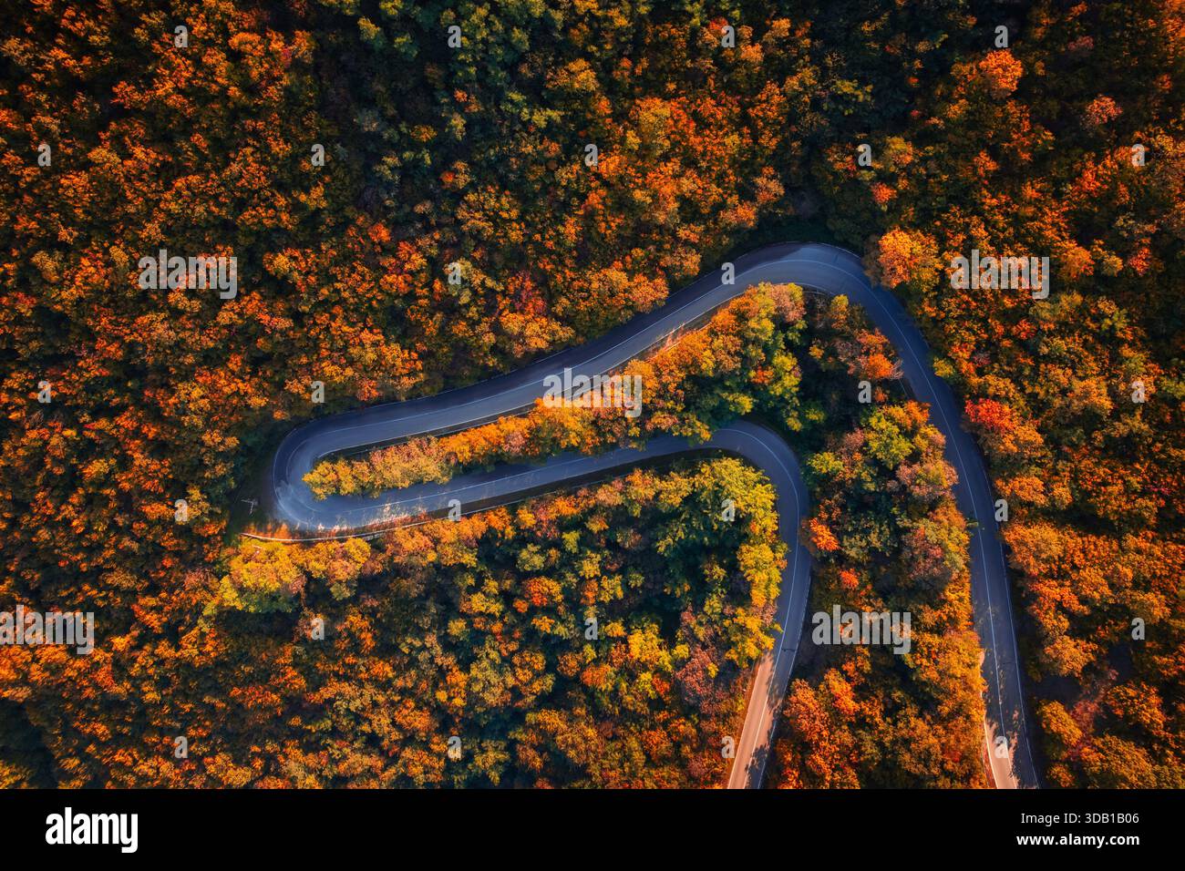 Bergstraße in Kakheti in Georgien Stockfoto
