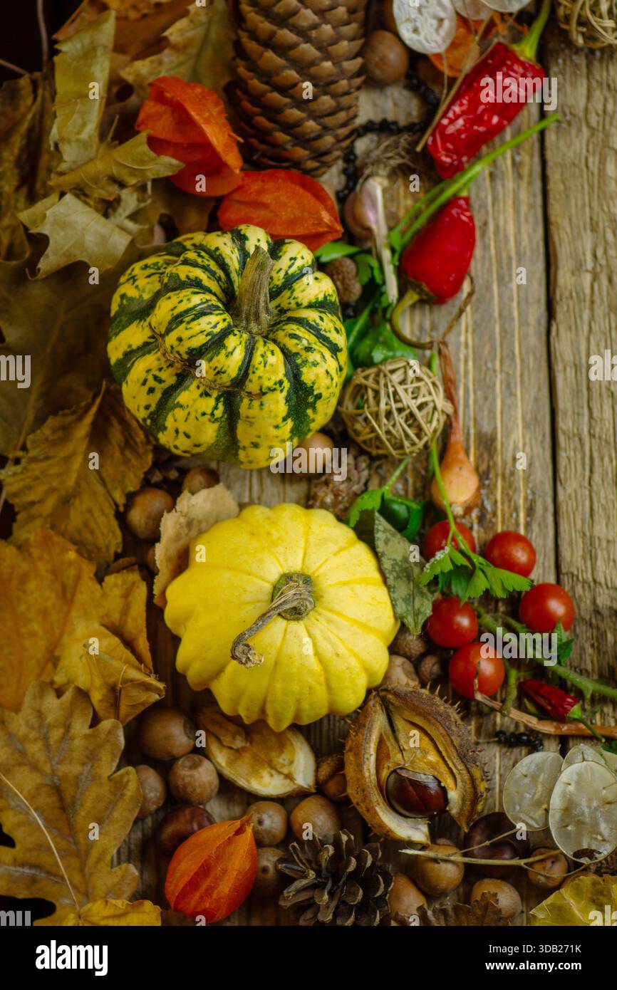Dekorative Kürbisse ruhen zwischen Herbstpflanzen und Nüssen auf strukturiertem Holz. Erdtöne verbessern die natürliche Atmosphäre. Arrangement schafft einladende Ernte Stockfoto