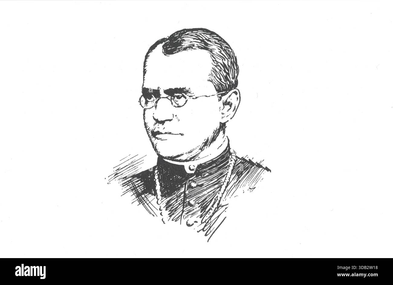 Gregor Johann Mendel. Jan Mendel (* 20. Juli 1822 6. Januar 1884) war ein österreichischer Biologe, Meteorologe, Mathematiker, Augustiner-Mönch und Abt der Abtei St. Thomas in Brünn, Markgrafschaft Mähren. Mendel wurde in einer deutschsprachigen Familie im schlesischen Teil des Österreichischen Reiches (heute Tschechien) geboren und erlangte posthum Anerkennung als Begründer der modernen Genetik. Obwohl die Bauern seit Jahrtausenden wussten, dass die Kreuzung von Tieren und Pflanzen bestimmte wünschenswerte Eigenschaften begünstigen könnte, führten Mendels Erbsenpflanzenversuche zwischen 185 durch Stockfoto