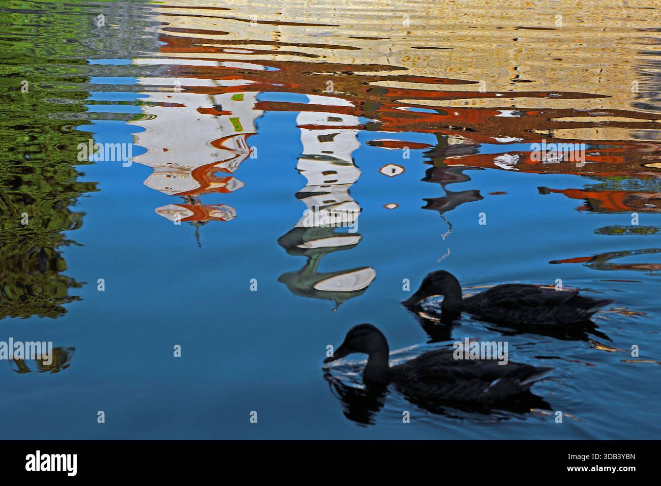 Die Stadtmauer von Isny, das Wassertor und der Turm der Nikolaikirche spiegeln sich im Grabenweiher-Teich Isny im Allgäu, Baden-Württemberg, Stockfoto