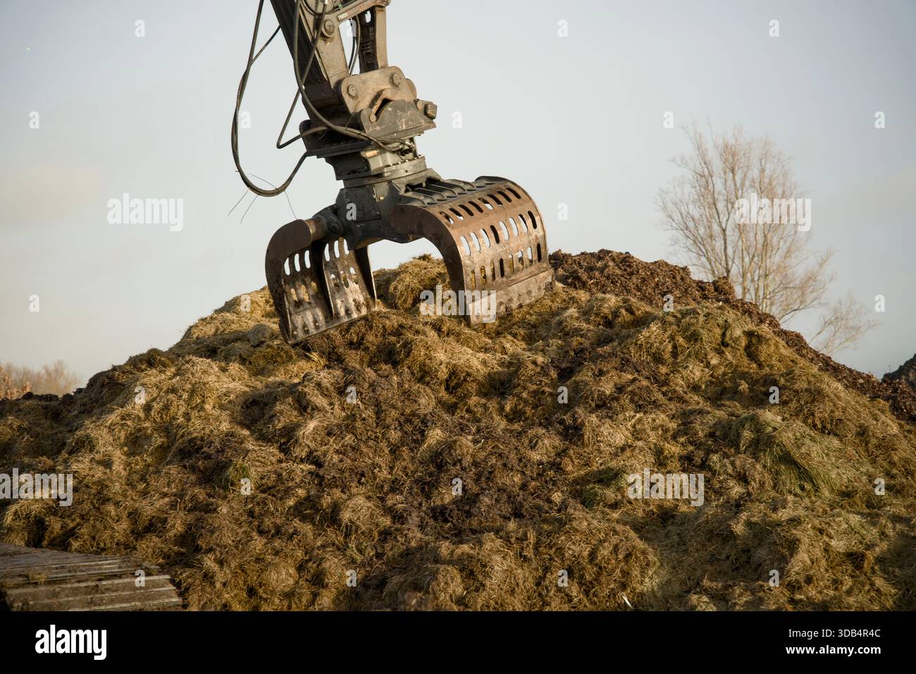 Bagger, der während des Kompostierens und des Bokashi-Prozesses in einen großen Haufen Grünabfälle gräbt. Die Maschine verarbeitet organische Restströme zu prod Stockfoto