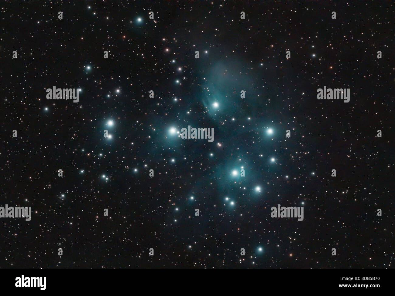 Die Plejaden M45, auch bekannt als Siebengestirn, sind ein markanter offener Sternhaufen im Sternbild Stier. Die Astrofotografie zeigt die charakteristischen blauen Reflexionsnebel, die von interstellarem Staub umgeben sind, und vermittelt einen eindrucksvollen Blick in die Struktur unserer Galaxis. Plejaden *** die Pleiaden M45, auch bekannt als die Pleiaden, sind ein markanter offener Sternhaufen im Sternbild Stier die Astrofotografie zeigt die charakteristischen blauen Reflexionsnebel umgeben von interstellarem Staub und bietet einen beeindruckenden Blick auf die Struktur unserer Plejaden-Galaxie Stockfoto