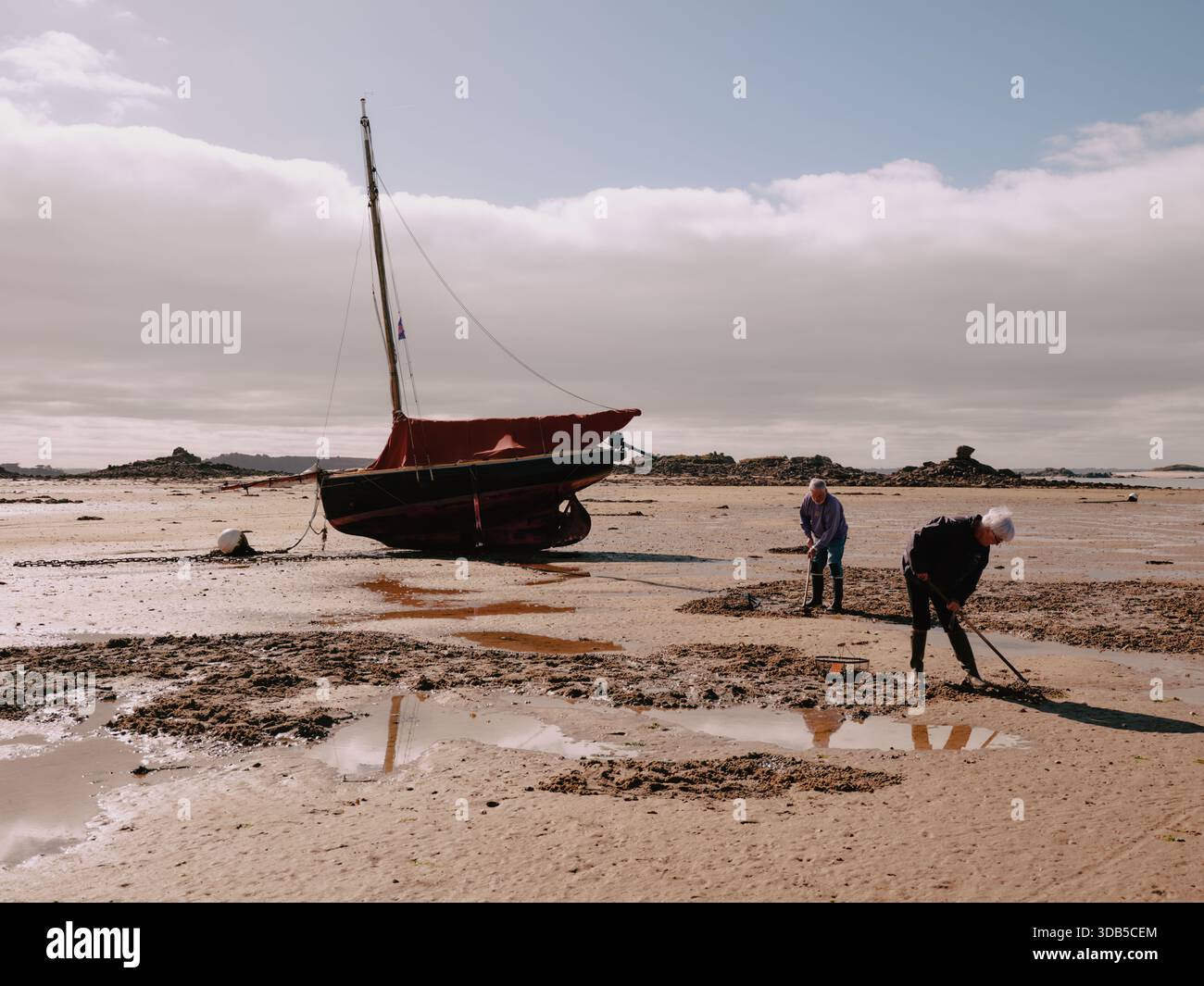 Lokale Cockle Pflücker auf dem Ebbe-Sand in Port Saint Sauveur Bretagne Frankreich EU Stockfoto