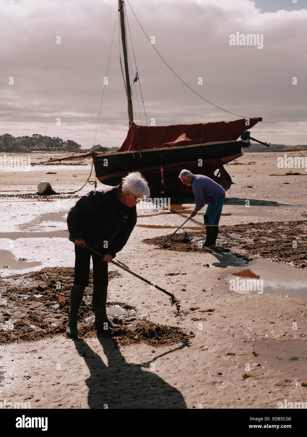 Lokale Cockle Pflücker auf dem Ebbe-Sand in Port Saint Sauveur Bretagne Frankreich EU Stockfoto