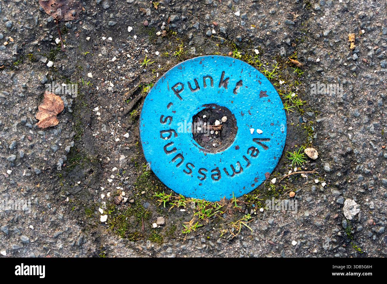 Vermessungspunkt, in einer Straße, Landmarke für Vermessungszwecke, Stockfoto