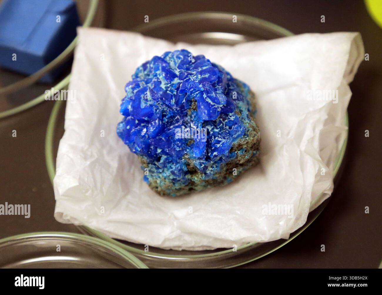 Krakau. Krakau. Polen. Lazurit Lapislazuli Edelstein ein Tektosilikat-Mineral mit Sulfat, Schwefel und Chlorid. Rohmineralprobe. Stockfoto