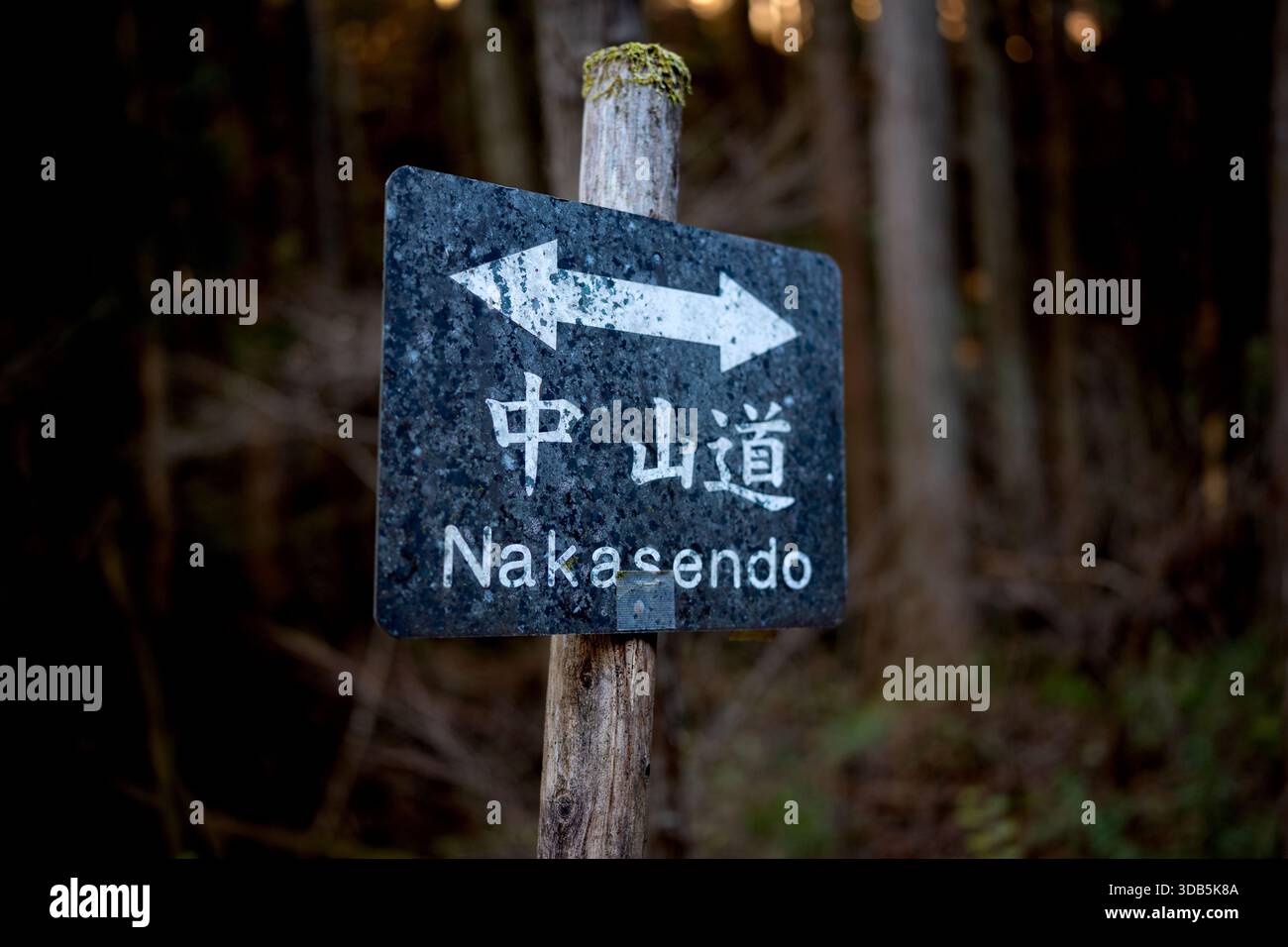 Wegweiser zum historischen Nakasendo Trail im Wald Stockfoto
