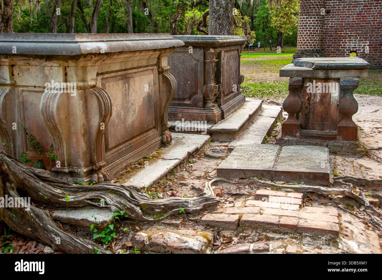 Historische Grabstätten in den Ruinen der Old Sheldon Church in Beaufort County, South Carolina, mit großen Baumwurzeln, die durch Stein und Ziegel wachsen. Stockfoto