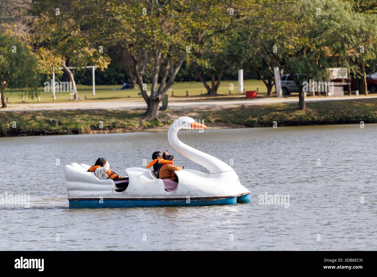 Schwanenförmige Tretboote auf dem See im Parque Ecologico de Tiete, Sao Paulo, Brasilien Stockfoto