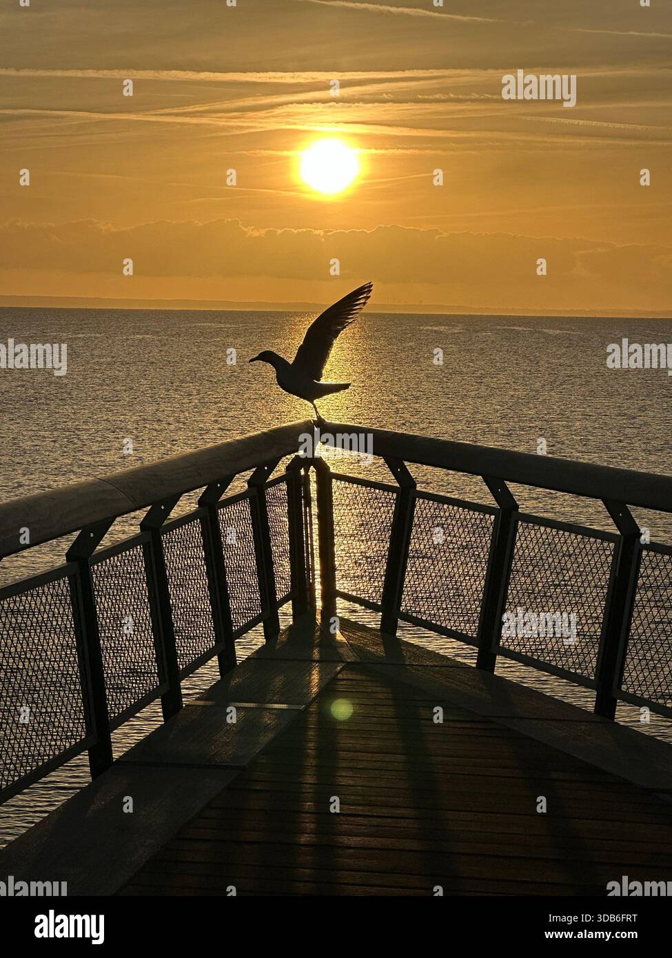 Eine Möwe fliegt vom Haffkrug Pier. Im Hintergrund geht die Sonne über der Ostsee auf. - Smartphone-aufgenommenes Stockfoto