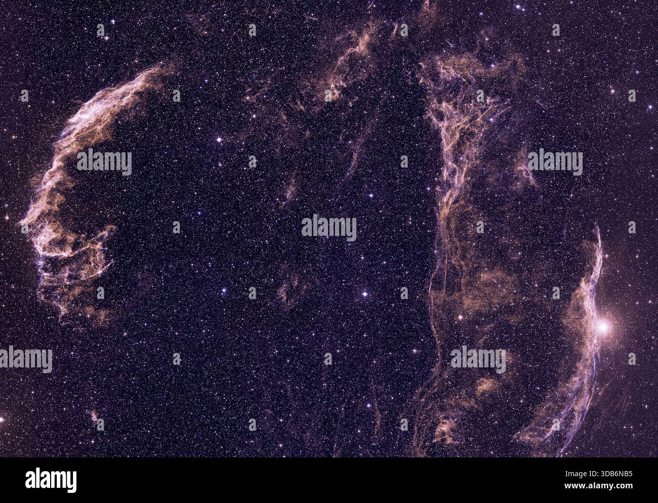 Dieses bodenbasierte Bild der Cygnus-Schleife misst 3 x 2 Grad und wurde mit dem Oschin Schmidt Teleskop aufgenommen und im Rahmen des Digitized Sky Survey gescannt. Stockfoto