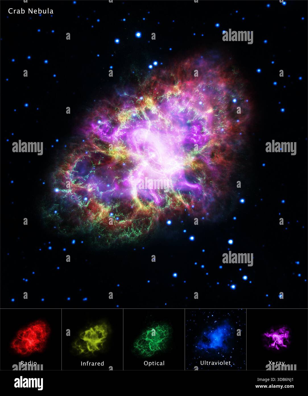 Der Krabbennebel (Katalogbezeichnungen M1, NGC 1952, Stier A) ist ein Supernova-Überrest und Pulsar-Windnebel im Sternbild Stier. Stockfoto