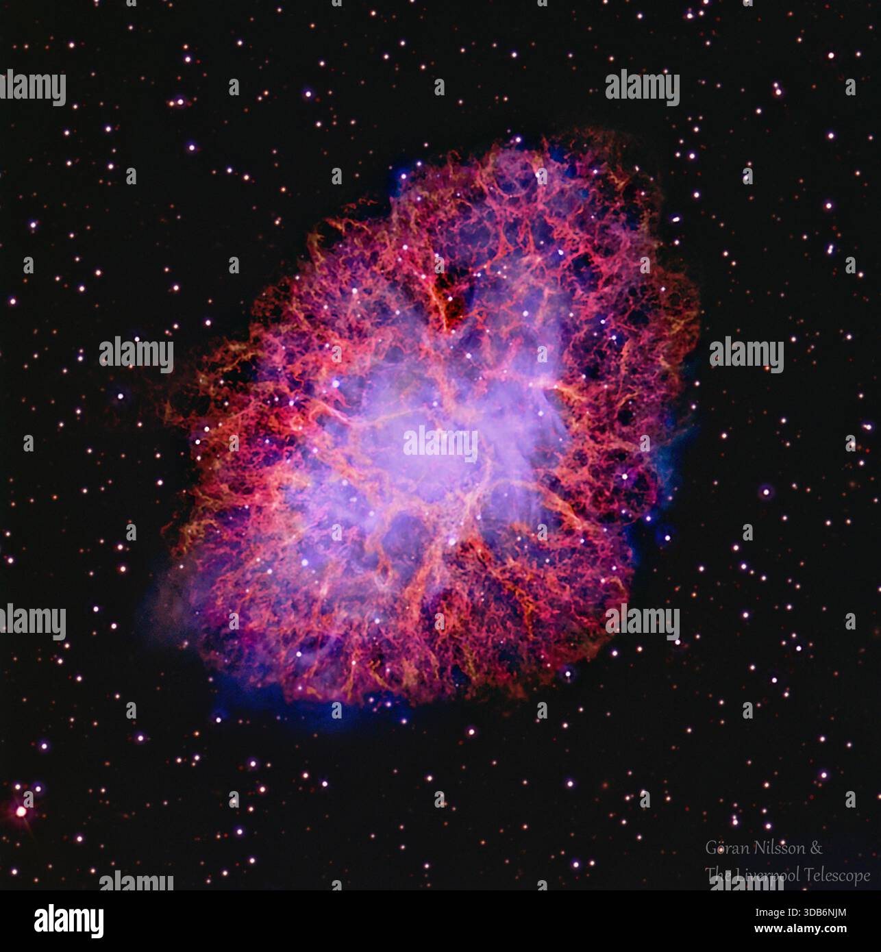 HaRGB-Bild des Krabbennebels vom Liverpool Telescope, Aufnahmen von insgesamt 1,4 Stunden. - Der Krabbennebel (Katalogbezeichnungen M1, NGC 1952, Stier A) ist ein Supernova-Überrest und Pulsar-Windnebel im Sternbild Stier. Stockfoto