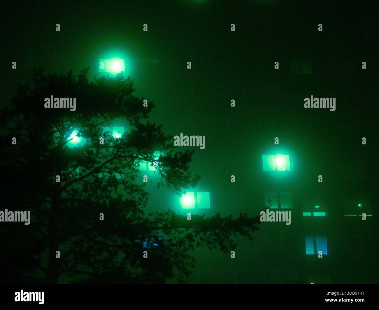 Green Night Fog Shrouded Building Mit Leuchtenden Fenstern Und Silhouetten Von Bäumen In Neonlicht Stockfoto